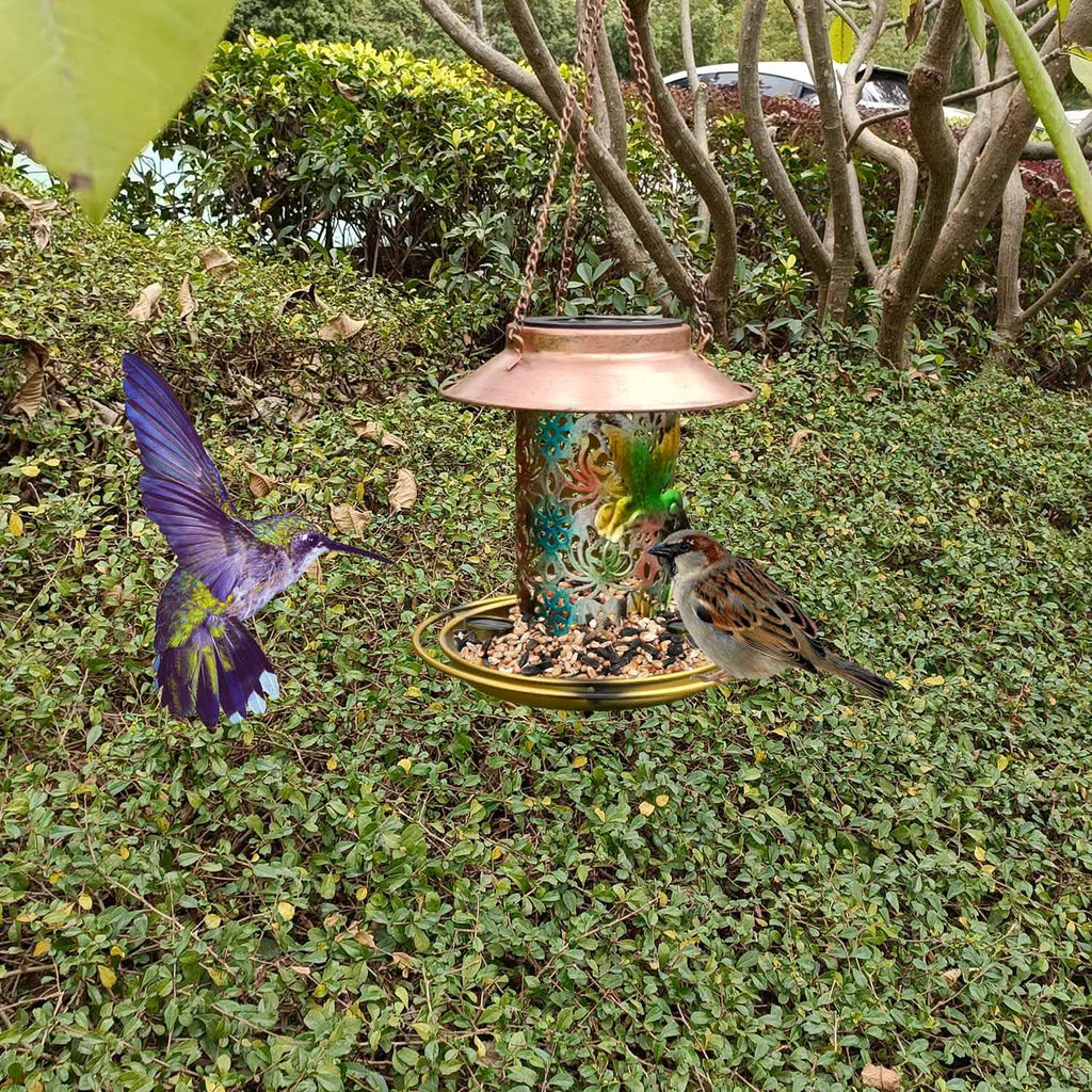 Lanterne solaire décorative suspendue pour oiseaux