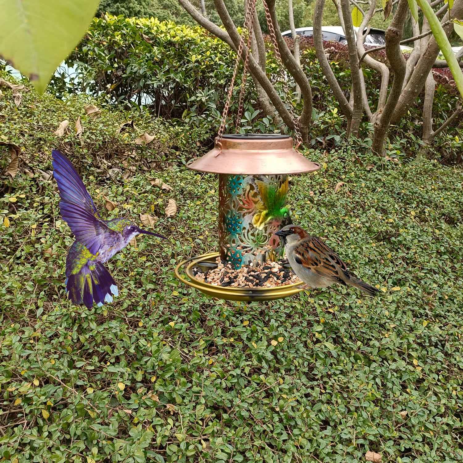 Lanterne solaire décorative suspendue pour oiseaux