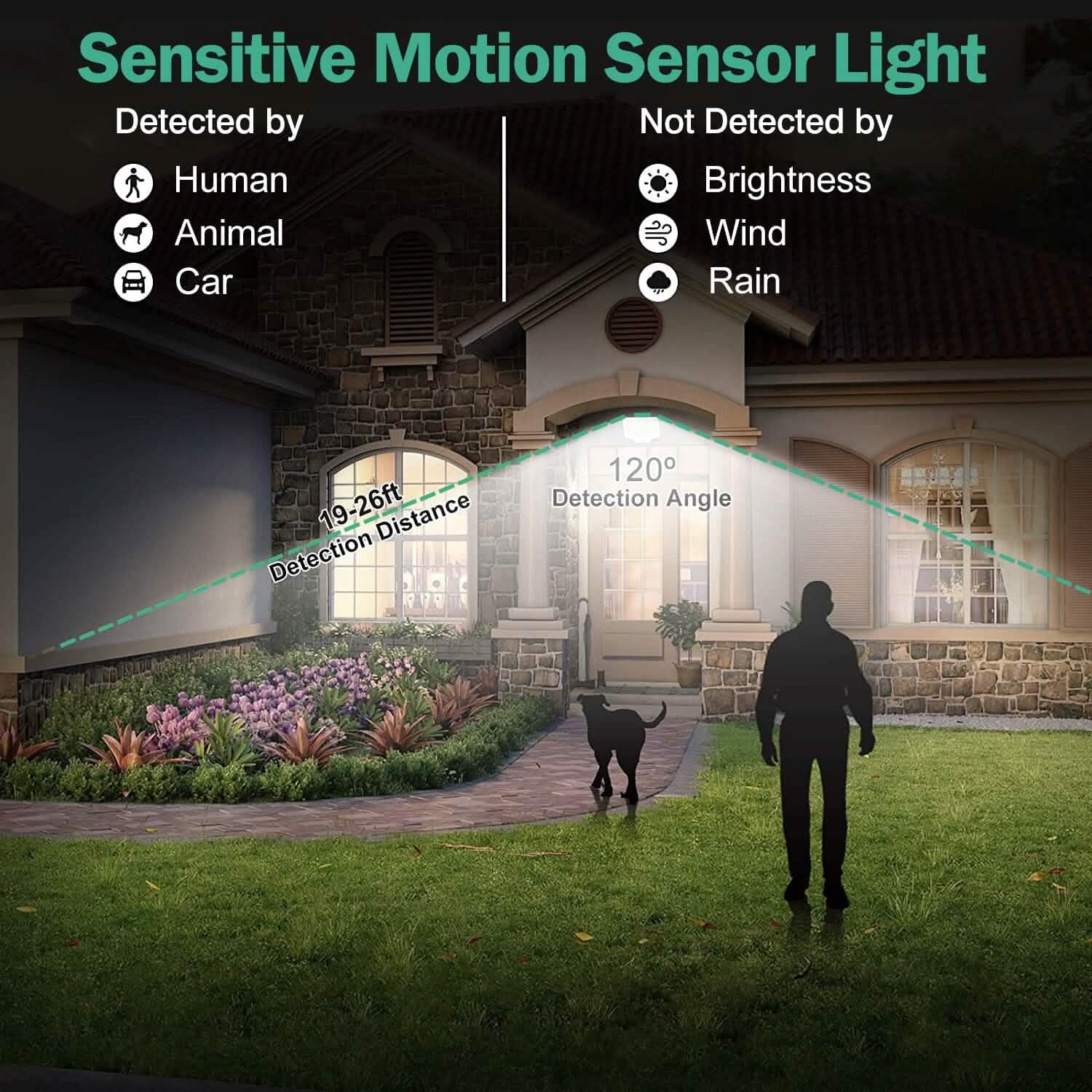 Projecteur solaire étanche IP65 avec détecteur de mouvement et télécommande