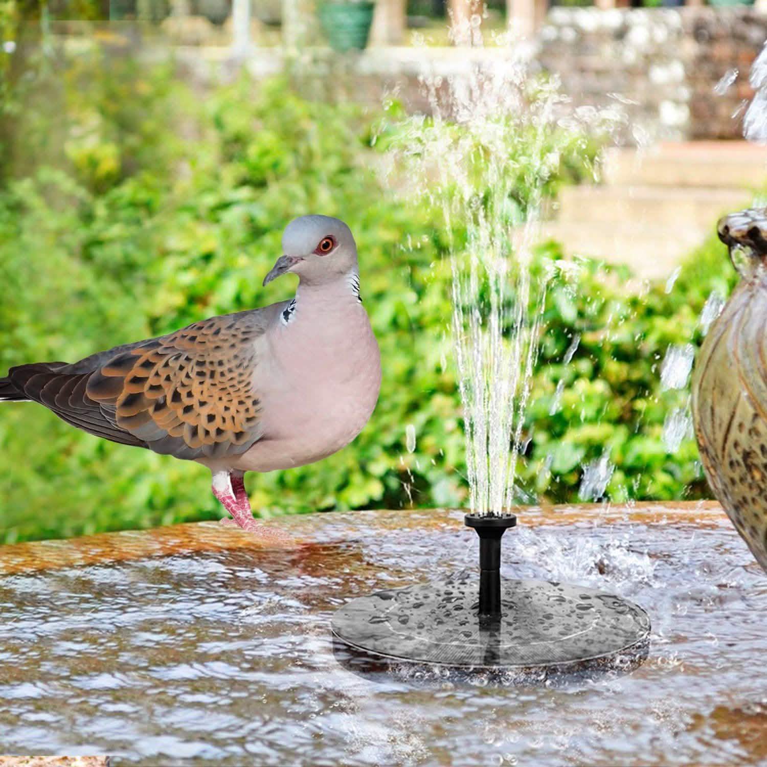 Pompe de fontaine solaire flottante pour bain d'oiseaux/bassin