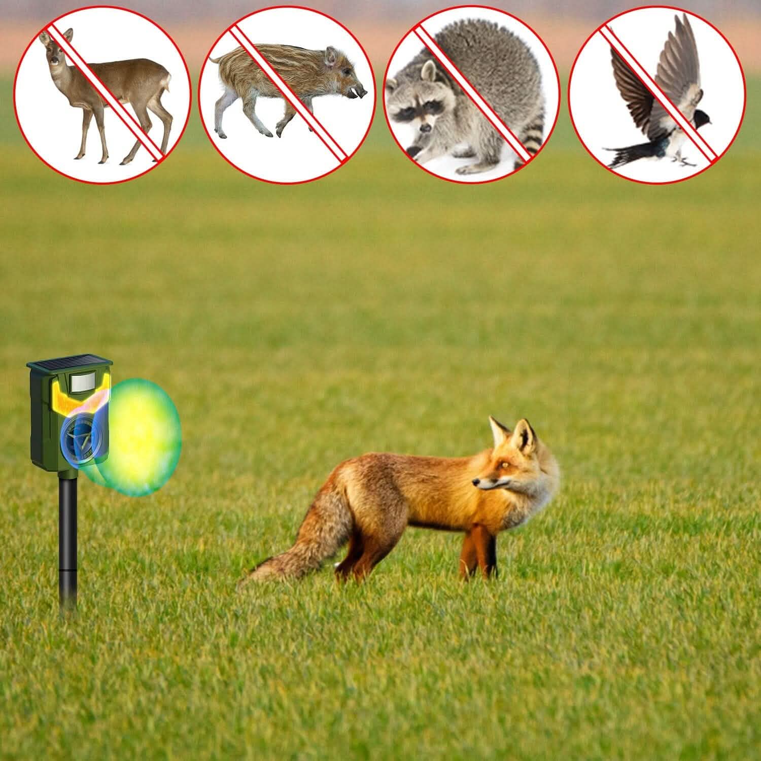 Répulsif Solaire Ultrasonique pour Animaux avec Lumière Flamboyante et Capteur de Mouvement rechargeable par USB