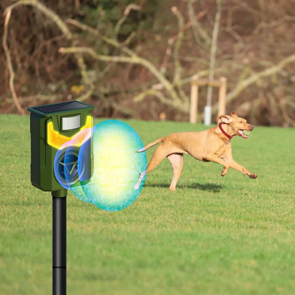 Répulsif Solaire Ultrasonique pour Animaux avec Lumière Flamboyante et Capteur de Mouvement rechargeable par USB