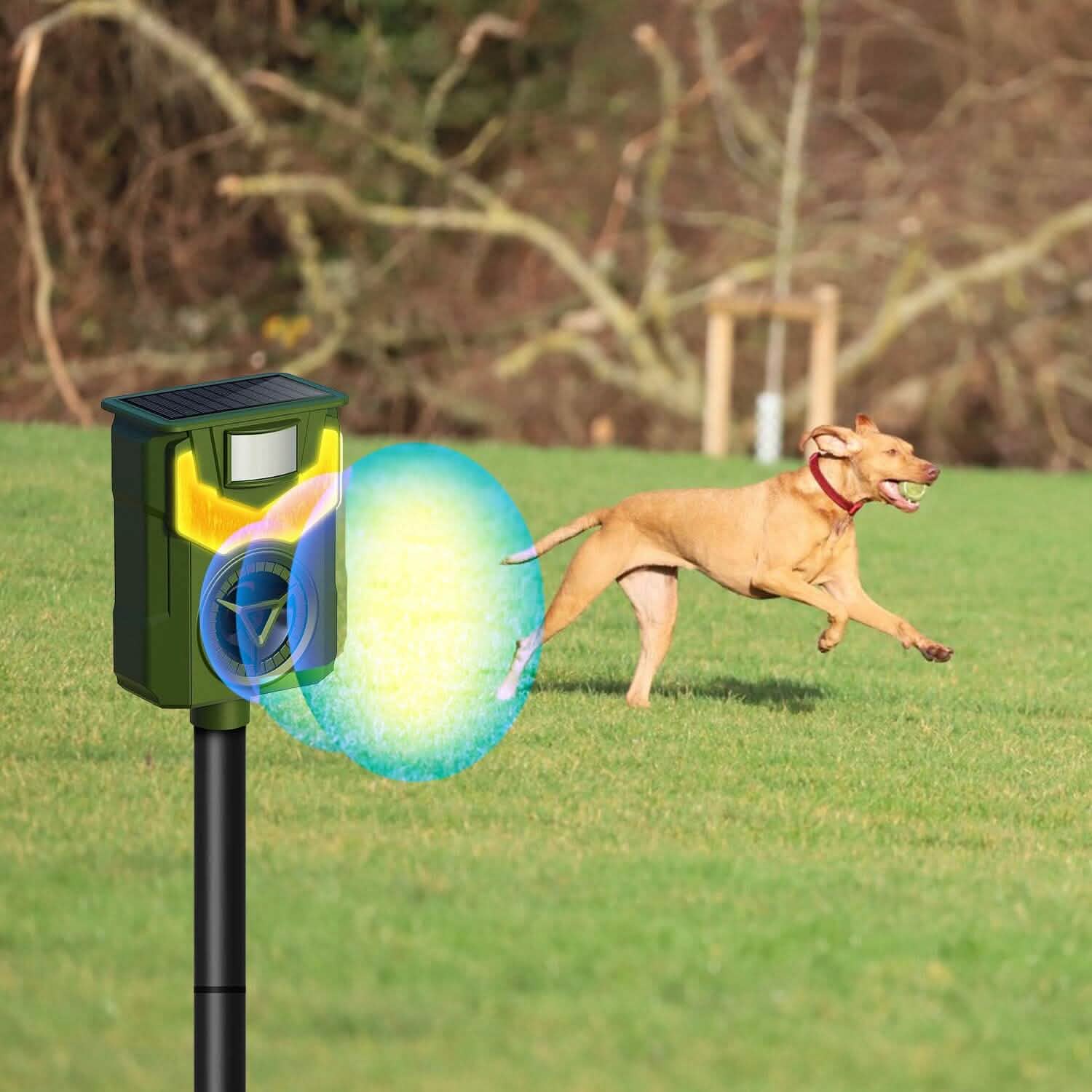 Répulsif Solaire Ultrasonique pour Animaux avec Lumière Flamboyante et Capteur de Mouvement rechargeable par USB