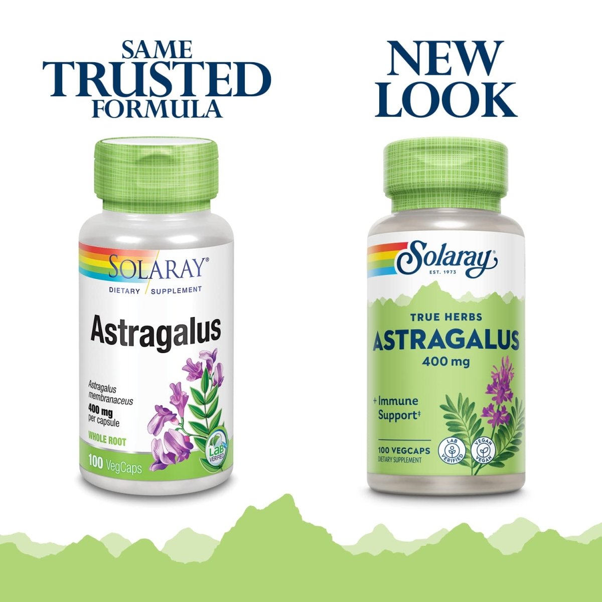 Solaray Astragalus Root 400mg - 100 VegCaps
