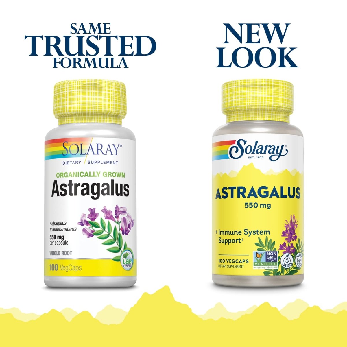 SOLARAY Astragalus Root 550mg 100 VegCaps