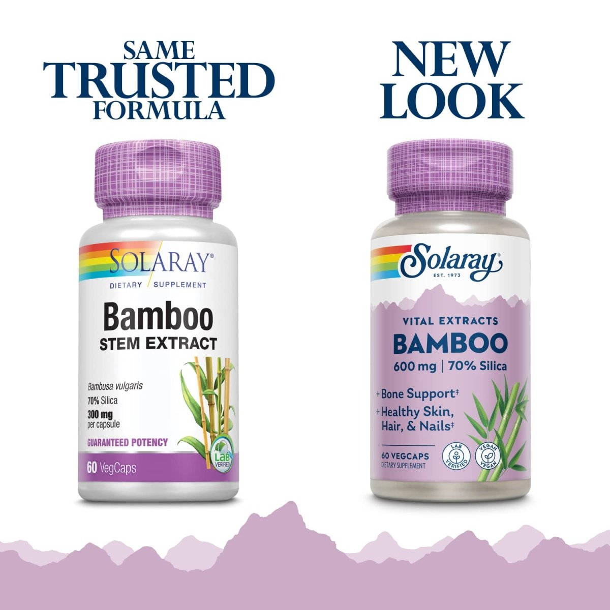 Extrait de tige de bambou Solaray 600 mg 60 VegCaps