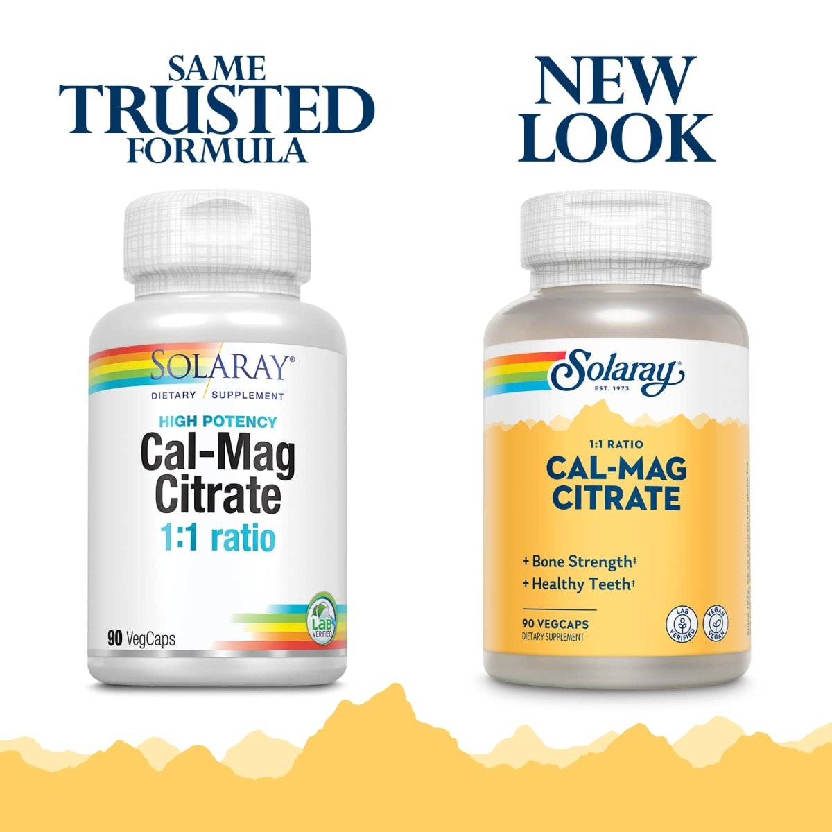 Solaray Calcium Magnésium Citrate 1000mg Rapport 1:1, Supplément pour la Solidité des Os, Soutien de la Santé Musculaire, Nerveuse et Osseuse, Chélaté pour une Absorption Élevée, Digestion Douce, 15 Portions, 90 Gélules Végétales