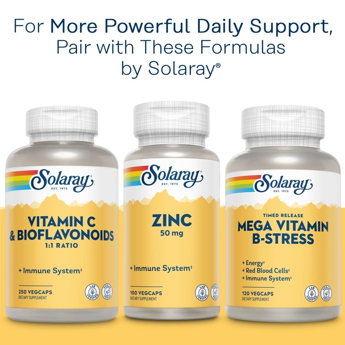 Solaray Calcium Magnesium Citrate Ratio 2:1 avec Vitamine D2, Soutien des os, des muscles et des nerfs, 60 portions, 360 VegCaps
