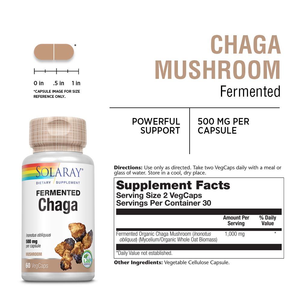 SOLARAY Chaga fermenté 500 mg 30 doses 60 gélules végétales