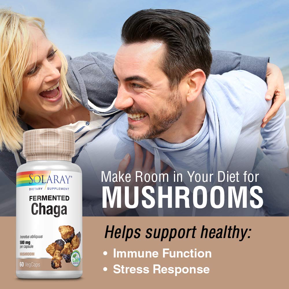 SOLARAY Chaga fermenté 500 mg 30 doses 60 gélules végétales