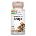SOLARAY Chaga fermenté 500 mg 30 doses 60 gélules végétales