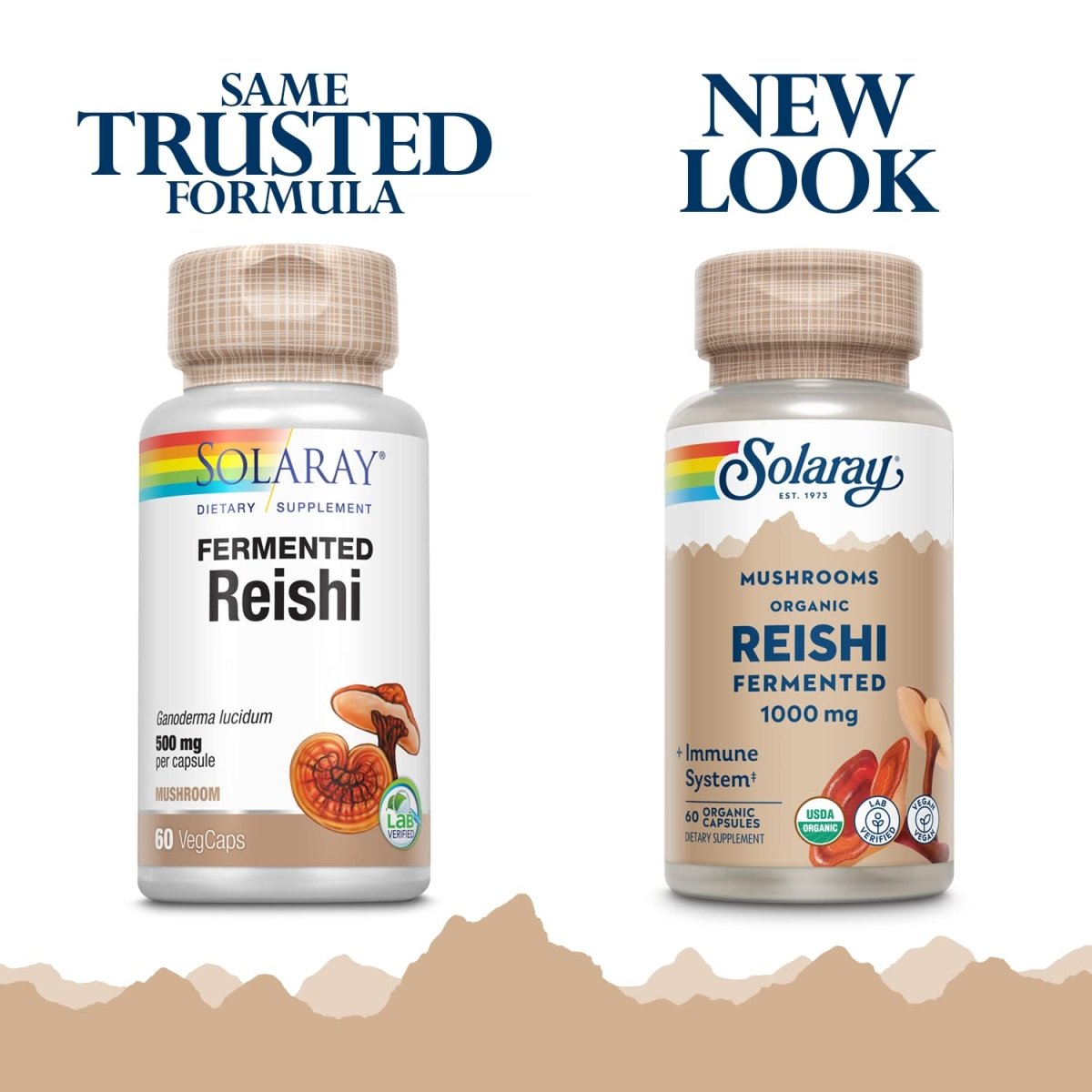 SOLARAY Fermented Reishi Mushroom 500mg 60 VegCaps