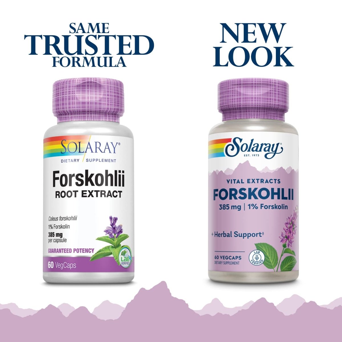 SOLARAY - Forskohlii, 385 mg 60 Capsules
