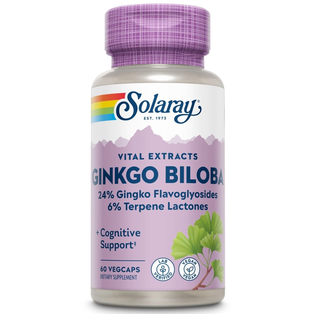 SOLARAY Ginkgo Biloba Extract, 60mg 60 Count