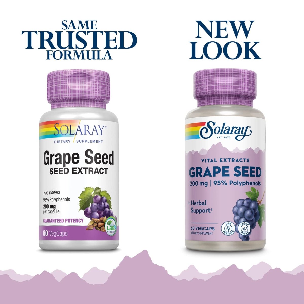 SOLARAY Extrait de Pépins de Raisin 200 mg Plus Complexe Bioflavonoïde - 60 VegCaps - Soutien Cardiovasculaire et des Vaisseaux Sanguins