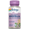 Solaray Extraits de résine de Boswellia Potence Garantie 450 mg Végécapsules 60 unités