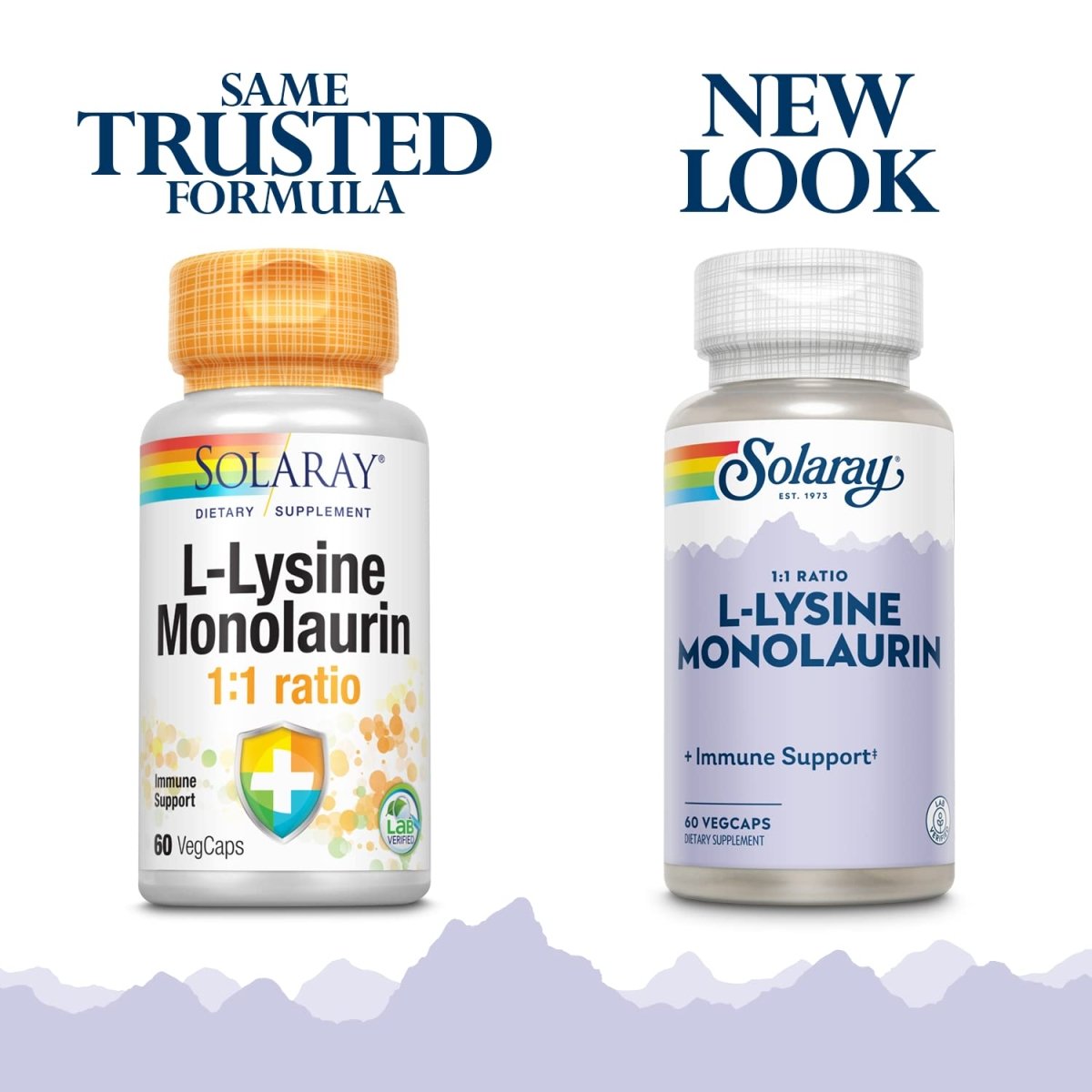 Solaray L-Lysine Monolaurine Soutien Immunitaire - Formule Puissante pour une Fonction Optimale du Système Immunitaire - 60 Gélules Végétales