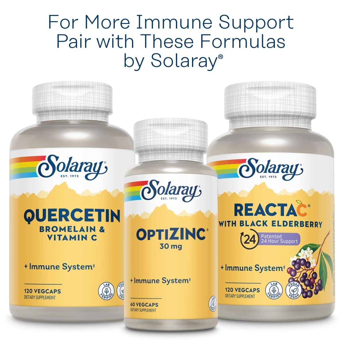 Solaray L-Lysine Monolaurine Soutien Immunitaire - Formule Puissante pour une Fonction Optimale du Système Immunitaire - 60 Gélules Végétales