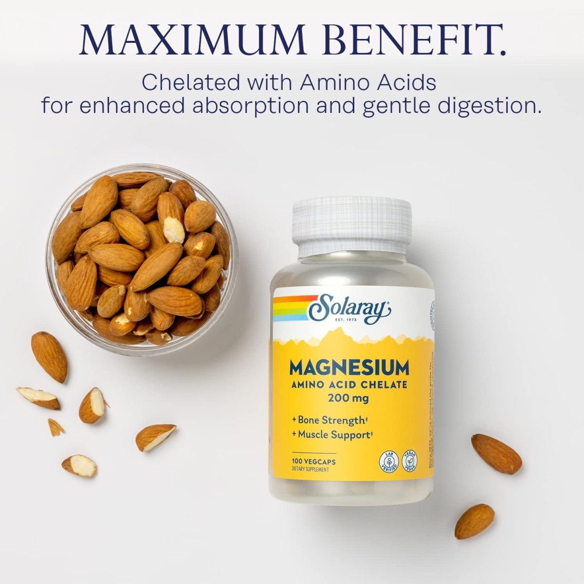 Solaray Magnésium Chélaté Acides Aminés 200 mg, Complément de Magnésium Chélaté pour la Santé Osseuse, la Santé Cardiaque et le Soutien de la Fonction Musculaire, Végétalien, Garantie de Remboursement de 60 Jours, 100 Portions, 100 VegCaps