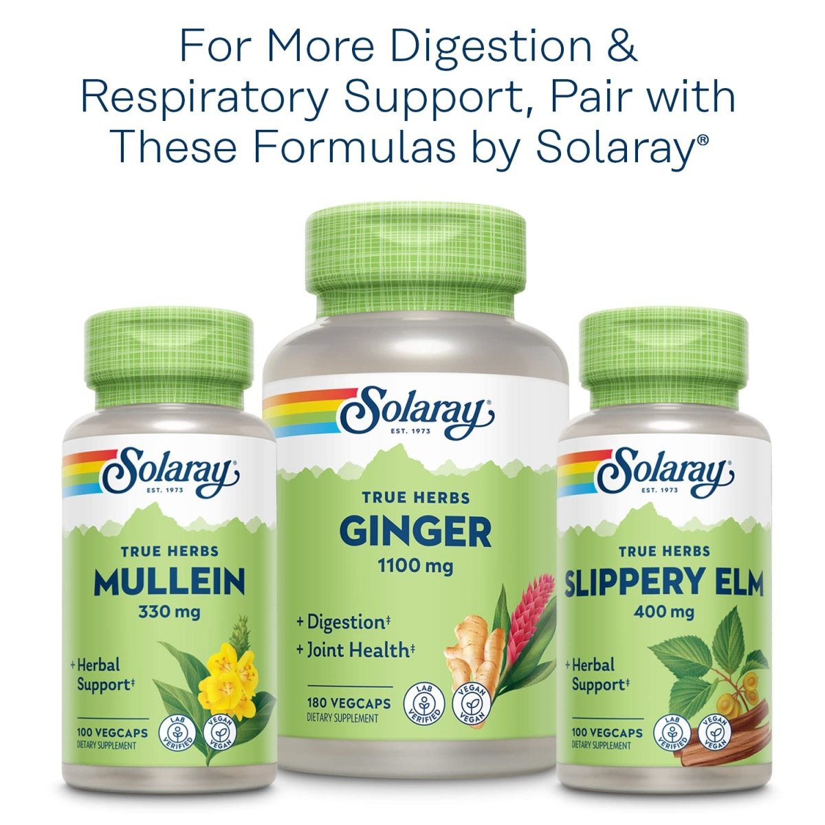 SOLARAY Racine de guimauve 480 mg Soutien de la fonction respiratoire saine et de la digestion Sans OGM et végétalien 100 VegCaps