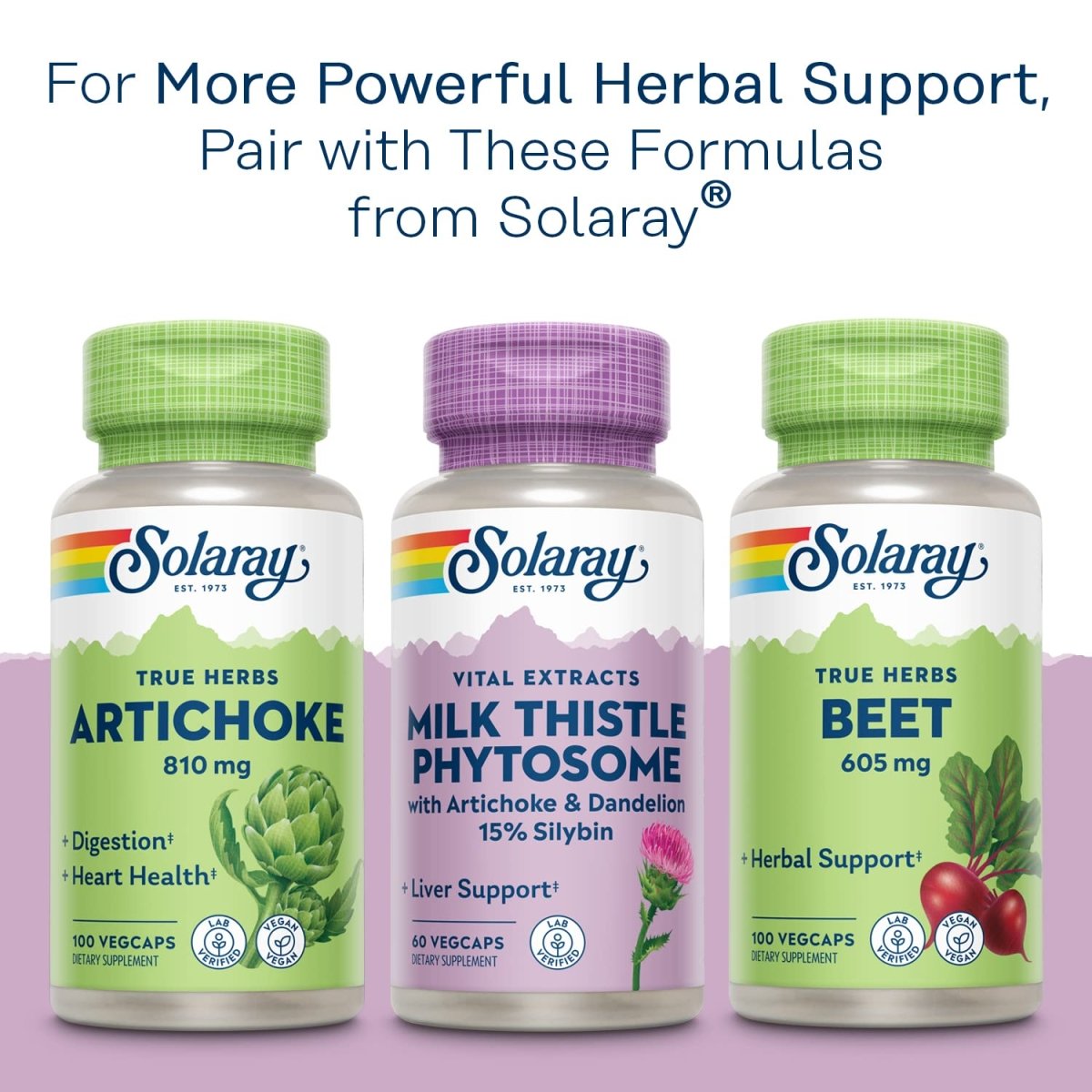 SOLARAY Milk Thistle, 60 CT