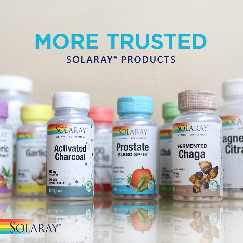 SOLARAY One Daily Ginkgo Biloba Leaf Extract (30 VegCaps)