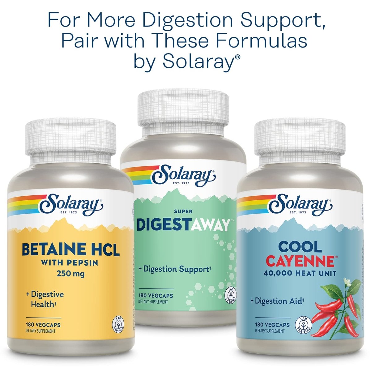 SOLARAY Gingembre biologique 540 mg Soutien cardiovasculaire, digestif, articulaire et cycle menstruel sain Vegan et sans OGM 100 VegCaps