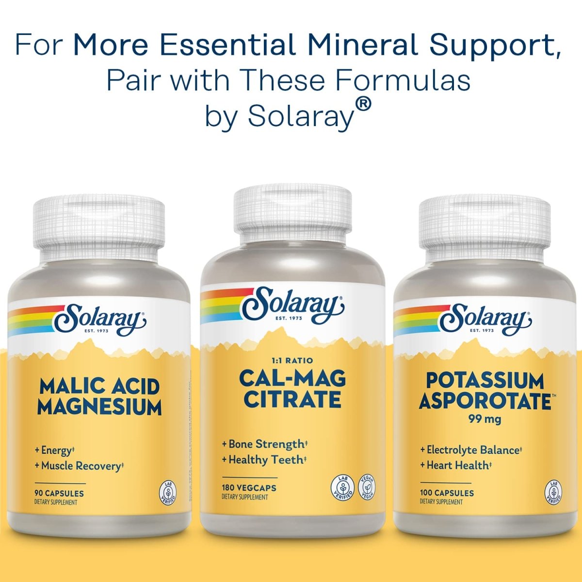 Solaray Citrate de potassium, Équilibre électrolytique sain, Soutien de la fonction nerveuse et musculaire, Végétalien, 60 gélules végétales
