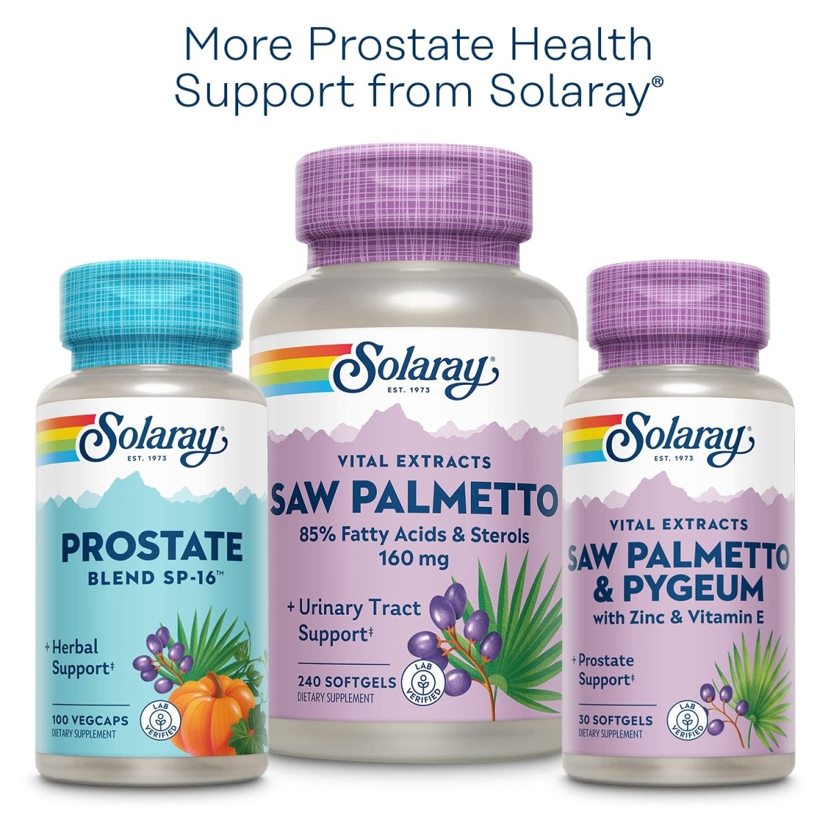 Solaray Extrait d'écorce de Pygeum 50mg Soutien à la prostate saine Garanti de contenir 6,5mg de stérols végétaux totaux Sans OGM 60 VegCaps
