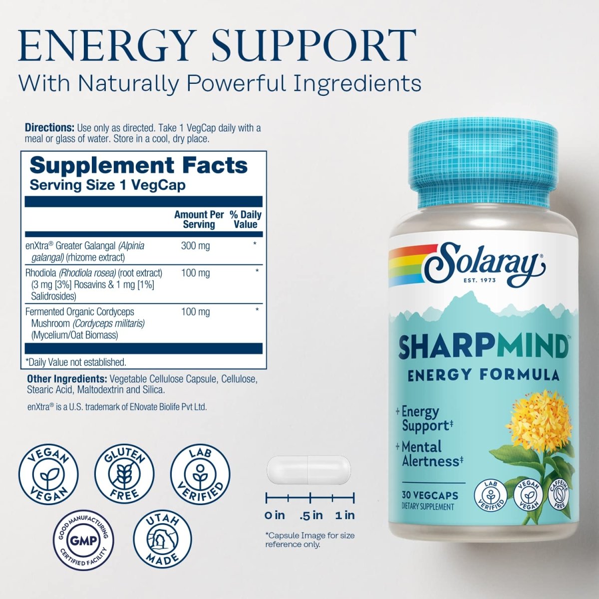 SOLARAY SharpMind Energy, Booster d'Énergie pour Femmes et Hommes, Supplément Nootropique pour la Concentration, Pilules Énergisantes Sans Caféine avec Rhodiola Rosea et Cordyceps, Garantie 60 Jours, 30 Doses, 30 Capsules Végétales