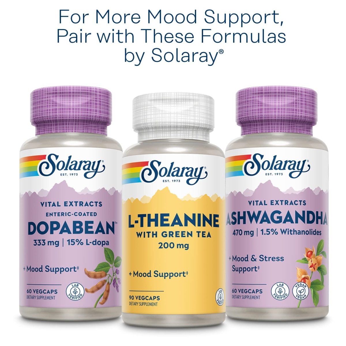 SOLARAY Millepertuis 900 mg, Complément de Soutien de l'Humeur Quotidien, Standardisé à 0,3% d'Hypéricine pour la Santé Cérébrale et une Humeur Équilibrée, Garantie Satisfait ou Remboursé de 60 Jours 30 Doses 30 Comprimés
