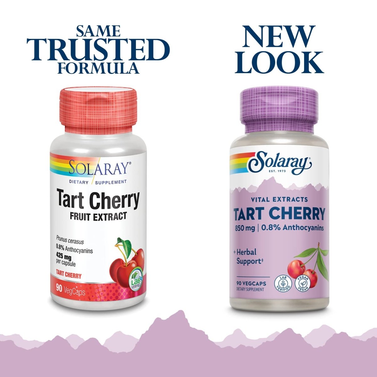 SOLARAY Extrait de Fruit de Cerise Acerola 425mg 90 Gélules Végétales