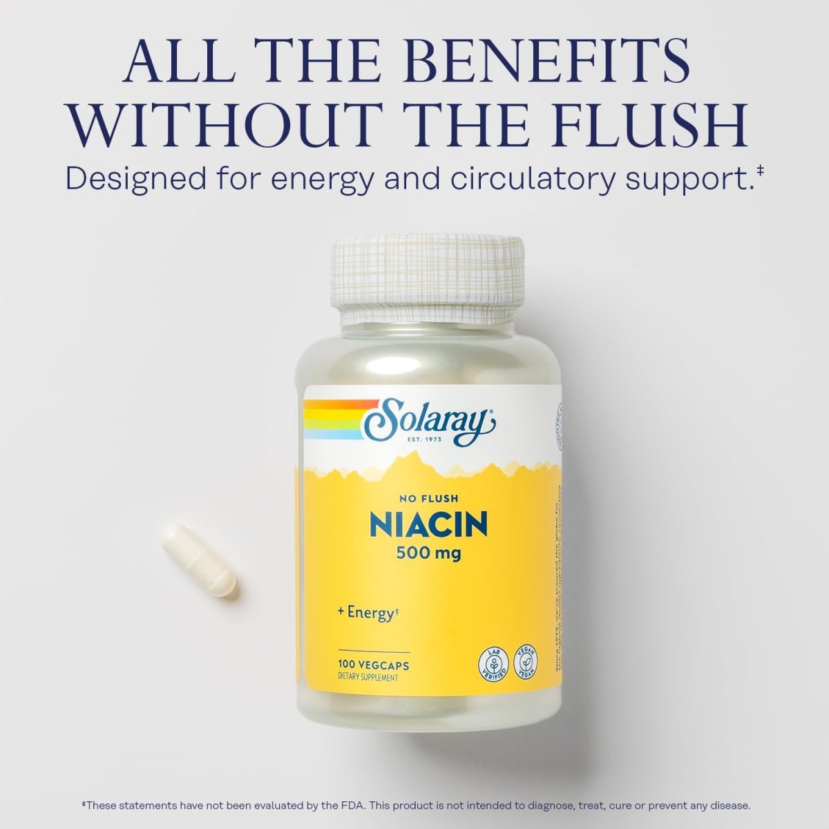 SOLARAY Titre Niacine sans rougeur 500mg, vitamine B3 niacine sans rougeur, soutien du système circulatoire et énergétique, végétalien, vérifié en laboratoire, garantie de remboursement de 60 jours, 100 portions, 100 gélules végétales