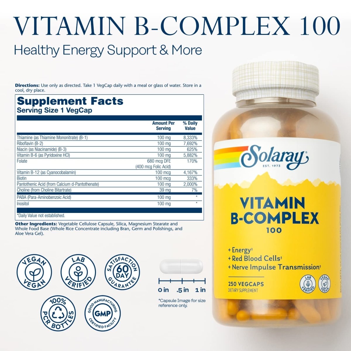 Solaray Complexe Vitamine B 100 mg - Vitamines B Complètes pour l'Énergie et la Vitalité - 250 Végicaps