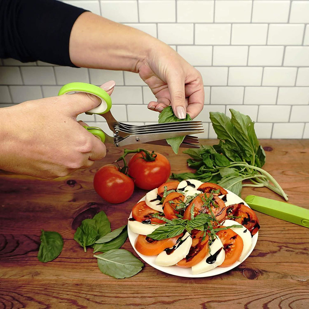 Ciseaux à herbes en acier inoxydable à 5 lames
