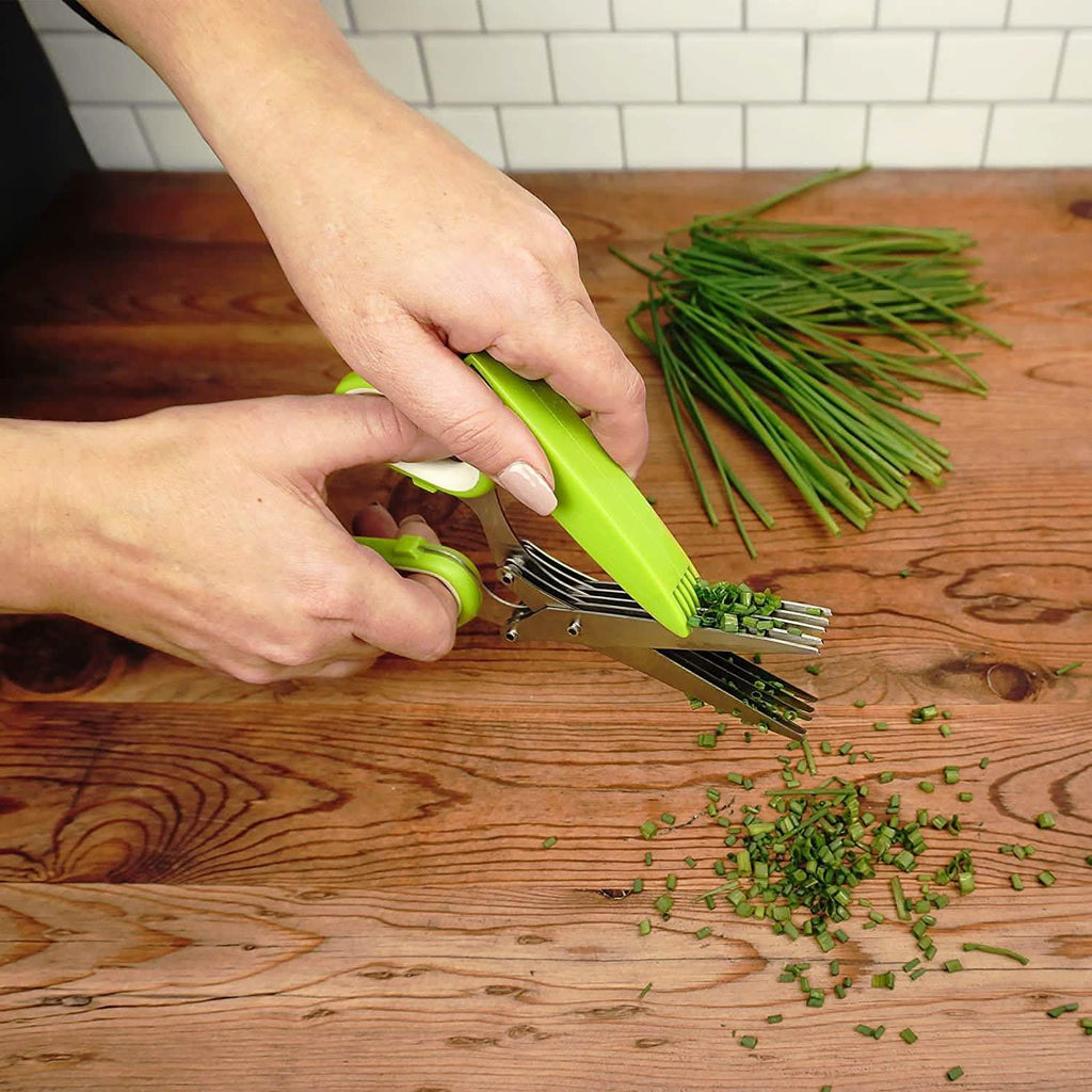 Ciseaux à herbes en acier inoxydable à 5 lames