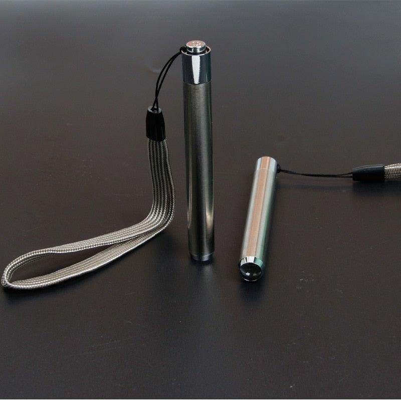 Mini lampe de poche UV LED portable en acier inoxydable, lumière noire, pour détection des fuites, urine d'animaux, punaises de lit, taches sèches et détection de marqueurs de colorant