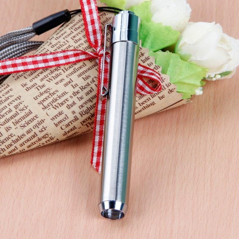 Mini lampe de poche UV LED portable en acier inoxydable, lumière noire, pour détection des fuites, urine d'animaux, punaises de lit, taches sèches et détection de marqueurs de colorant
