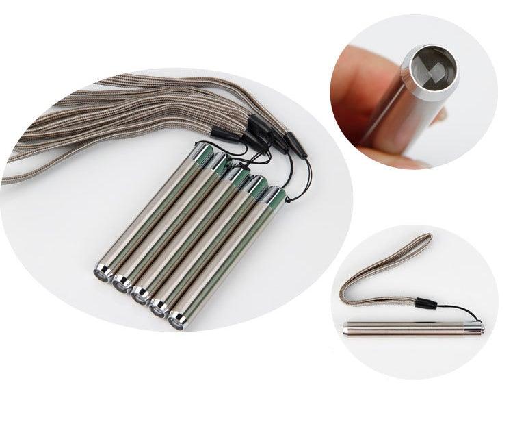 Mini lampe de poche UV LED portable en acier inoxydable, lumière noire, pour détection des fuites, urine d'animaux, punaises de lit, taches sèches et détection de marqueurs de colorant