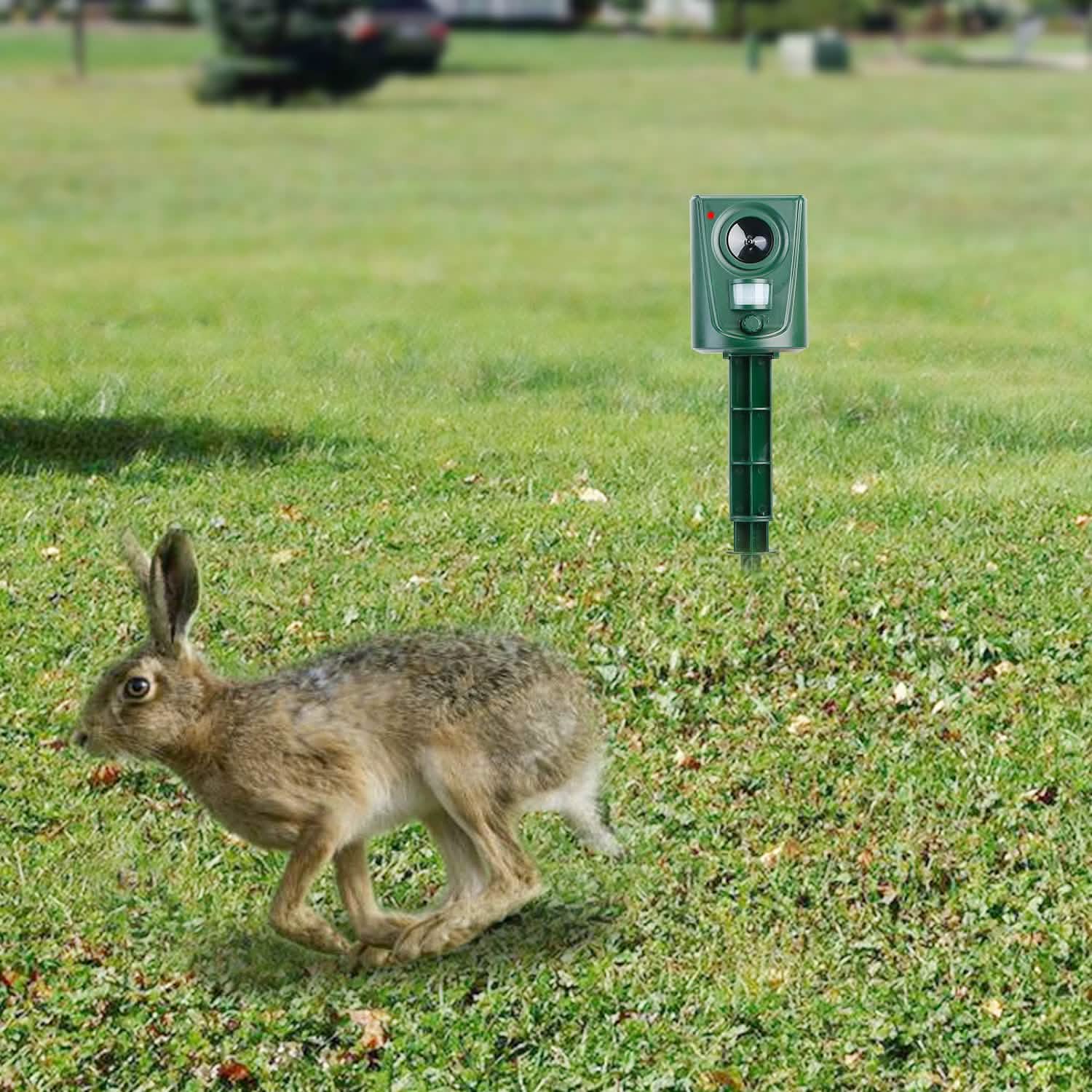 Répulsif Ultrasonique pour Animaux, Étanche IP4, avec Détecteur de Mouvement et Lumière LED Clignotante