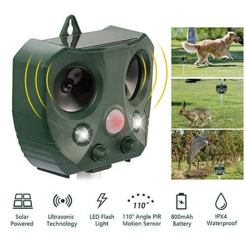 Répulsif Solaire Ultrason Animaux