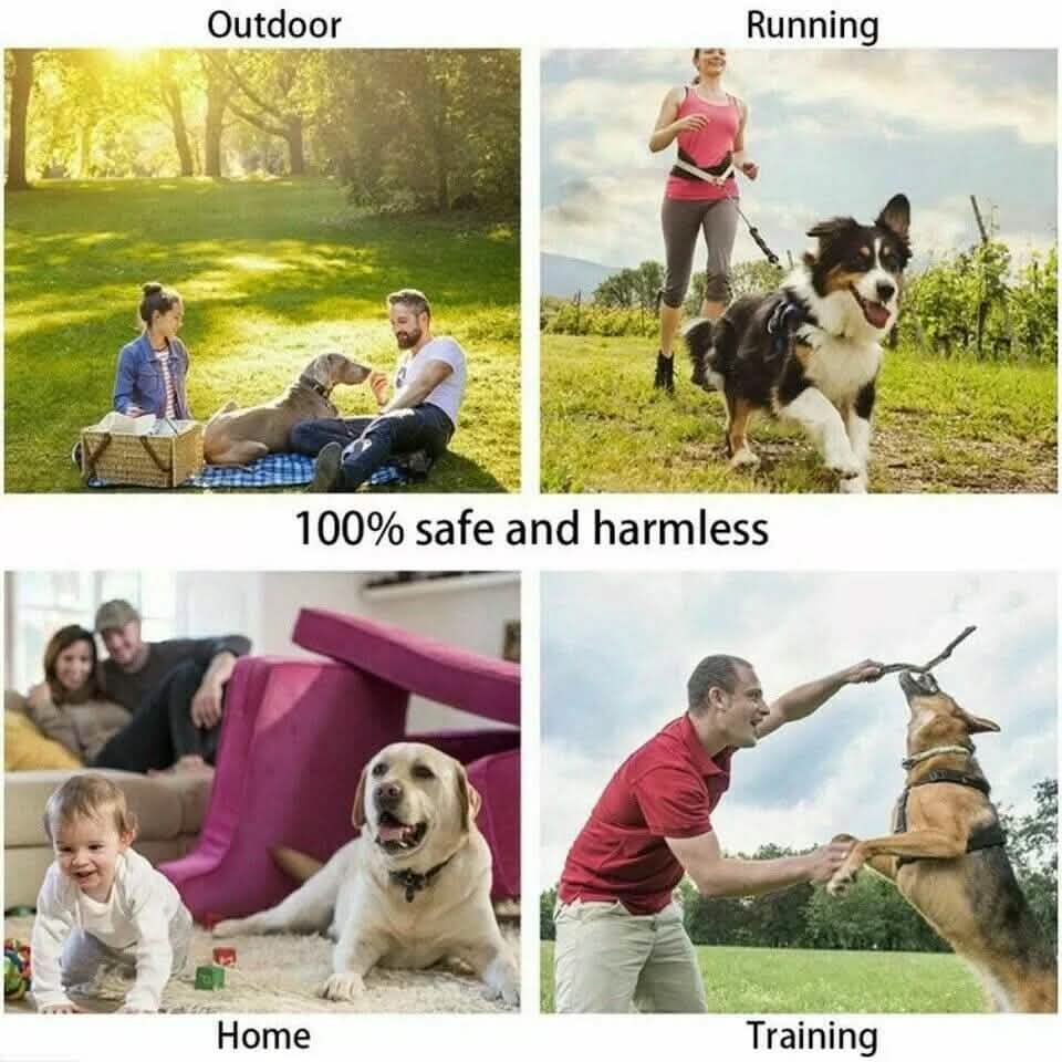 Dispositif de contrôle anti-aboiement ultrasonique pour chiens