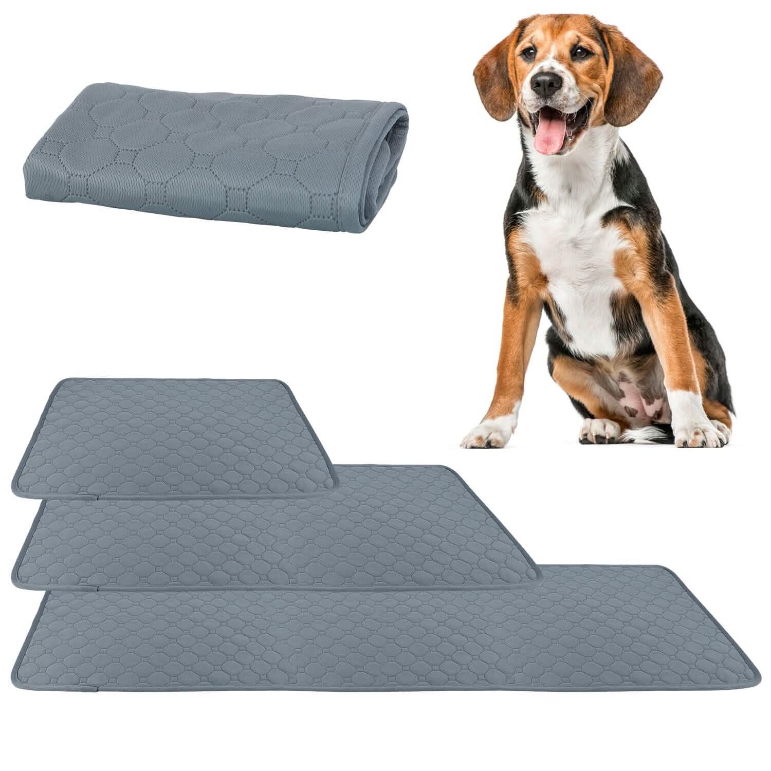 Alèse de propreté lavable et réutilisable pour chiot