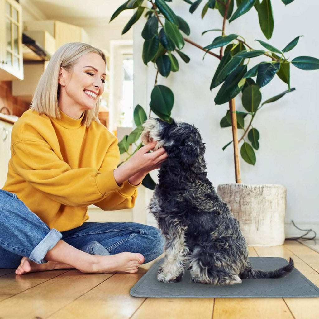 Alèse de propreté lavable et réutilisable pour chiot