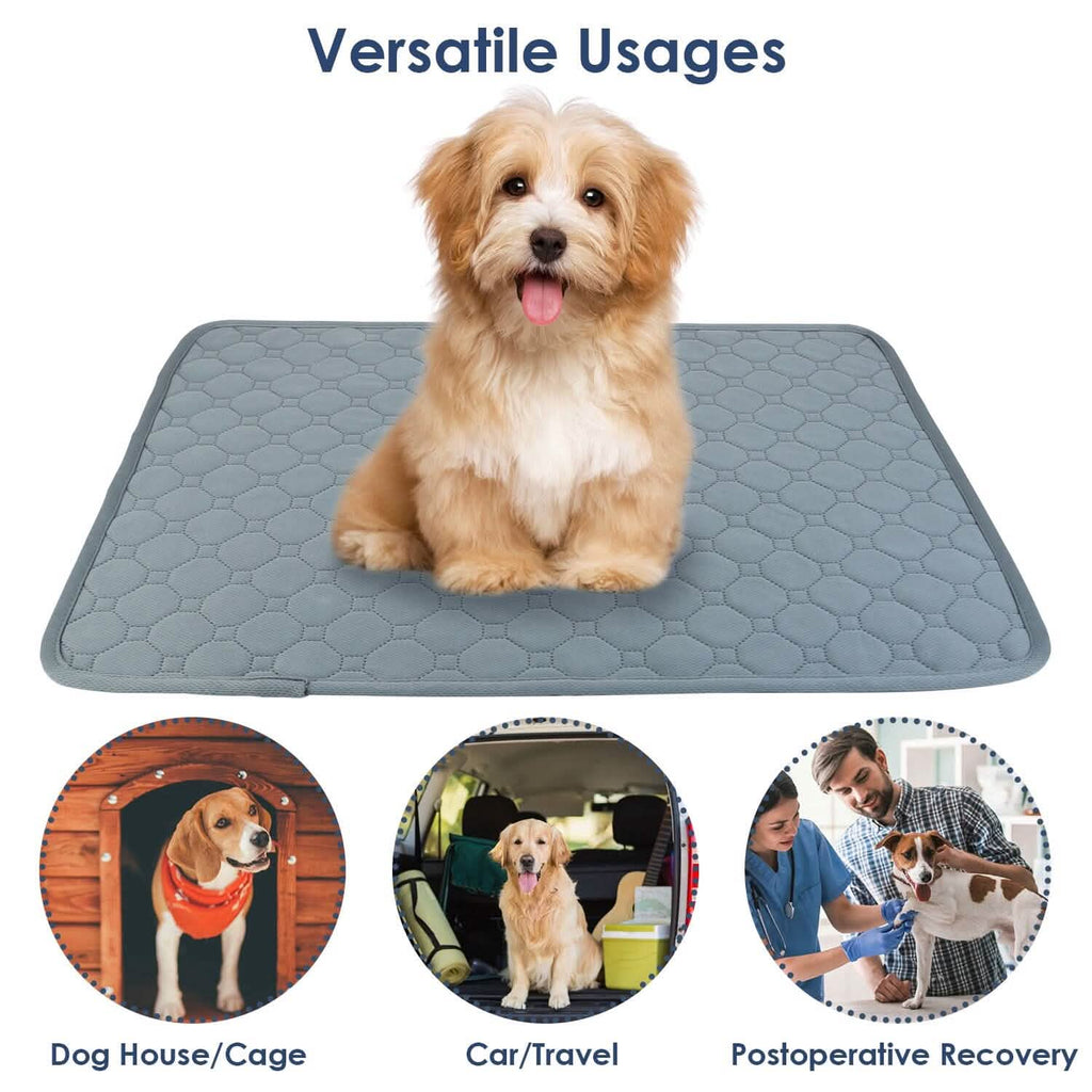 Alèse de propreté lavable et réutilisable pour chiot