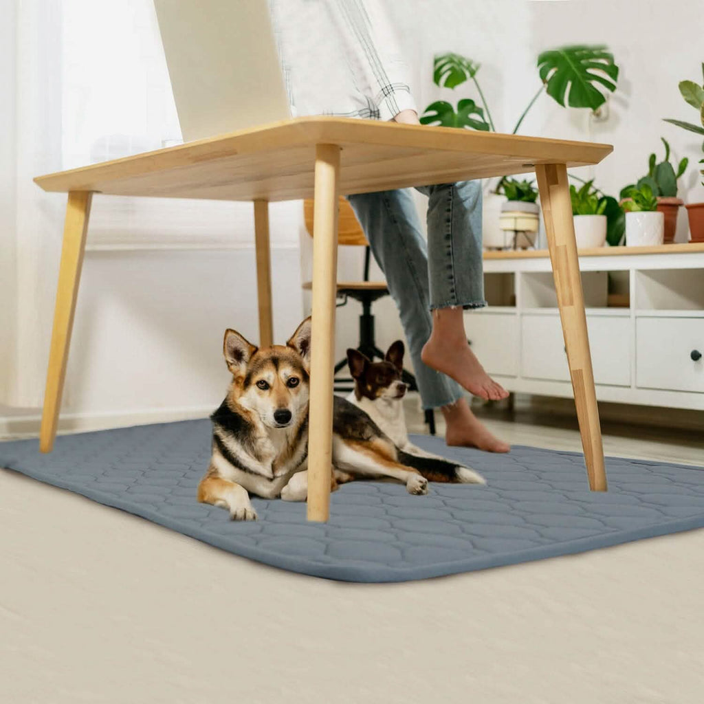 Alèse de propreté lavable et réutilisable pour chiot