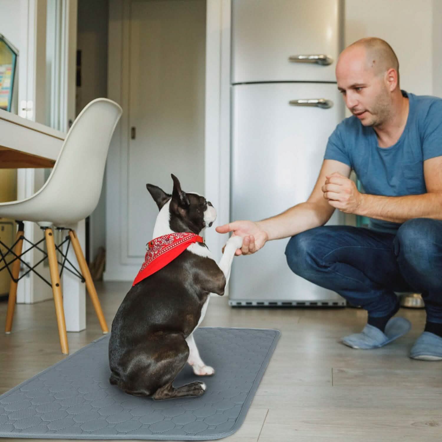 Alèse de propreté lavable et réutilisable pour chiot