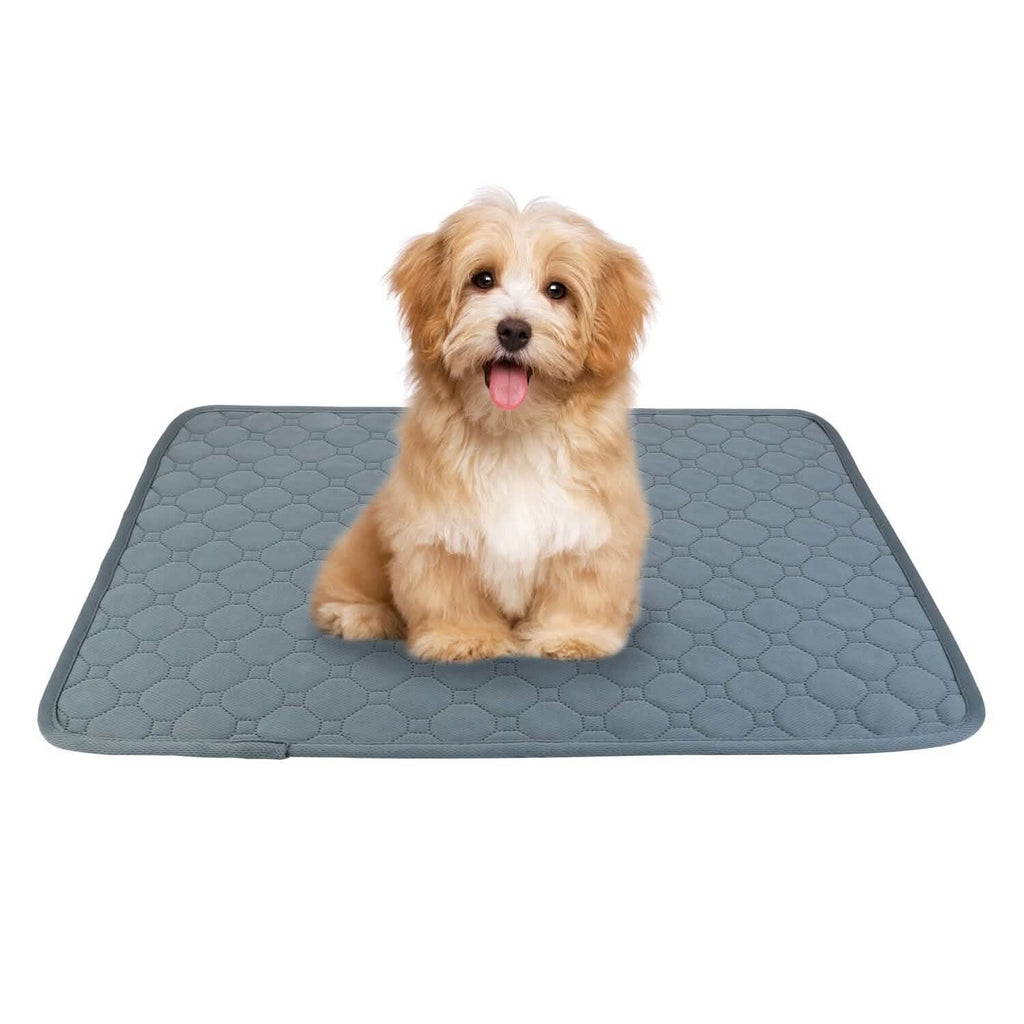 Alèse de propreté lavable et réutilisable pour chiot