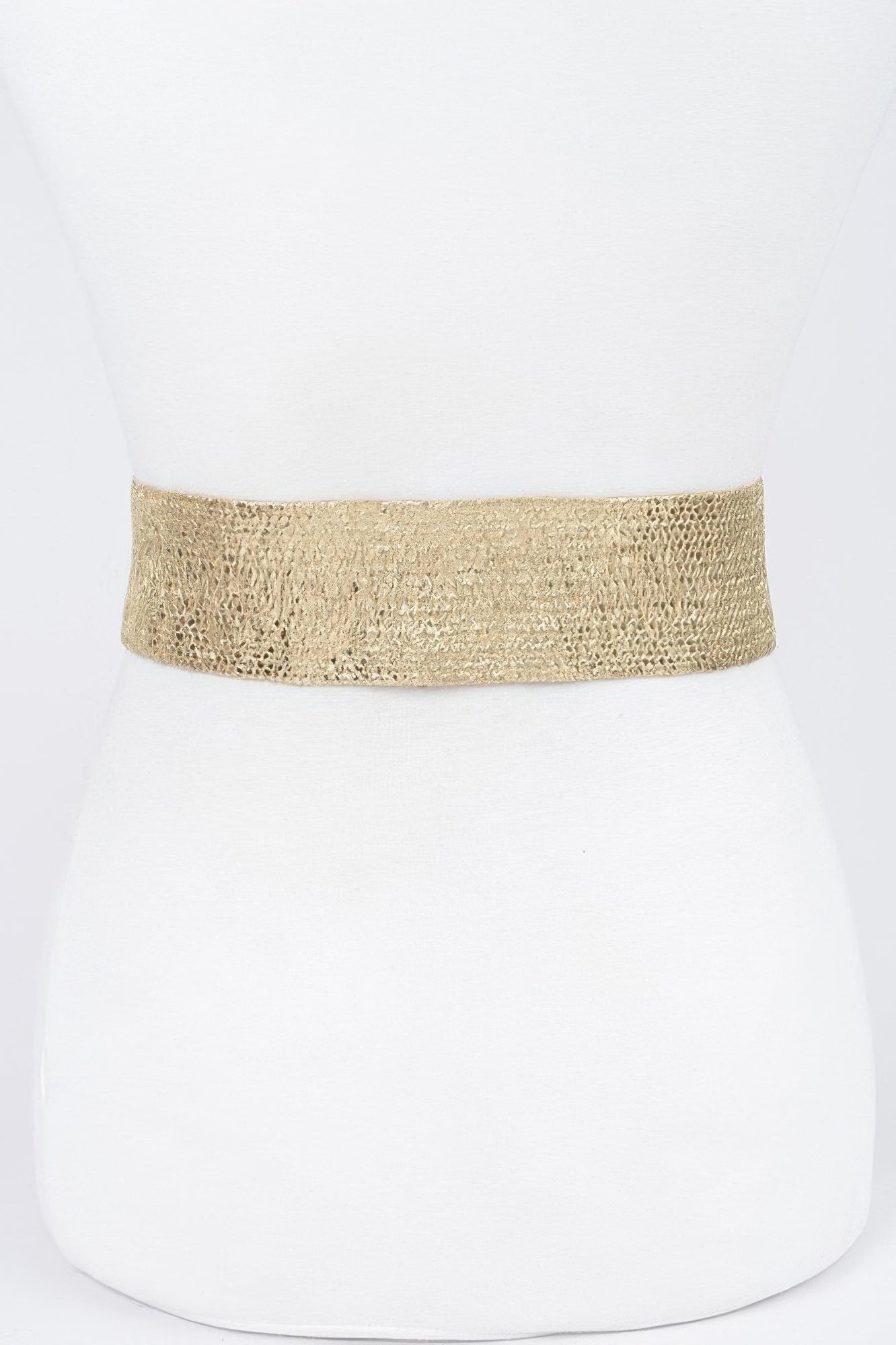 Ceinture transparente grande taille à large boucle métallique