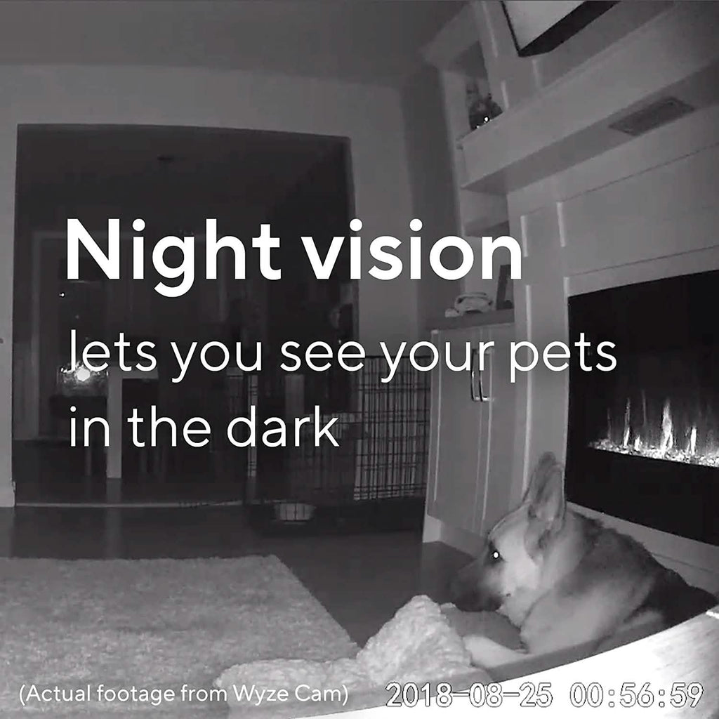 Wyze Cam V2 (Reconditionnée)
